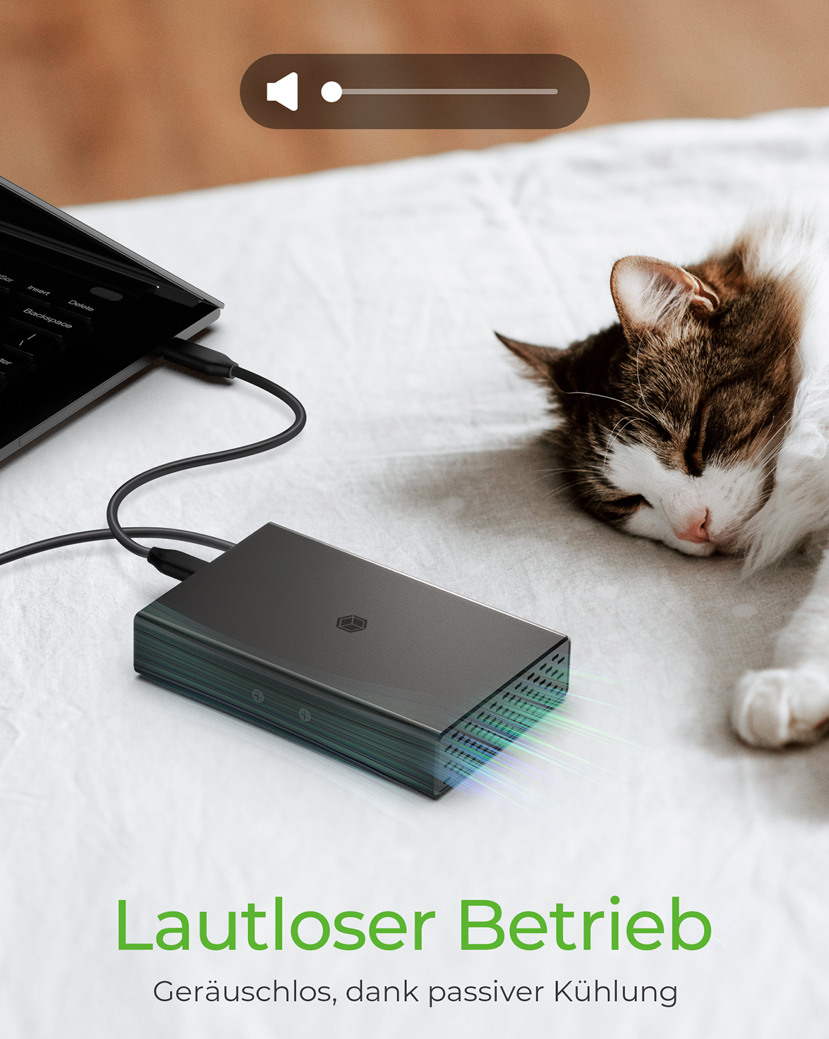 RAID Gehäuse für 2x HDD/SSD USB 3.2 Gen 2 Type-C® / Type-A Anschluss